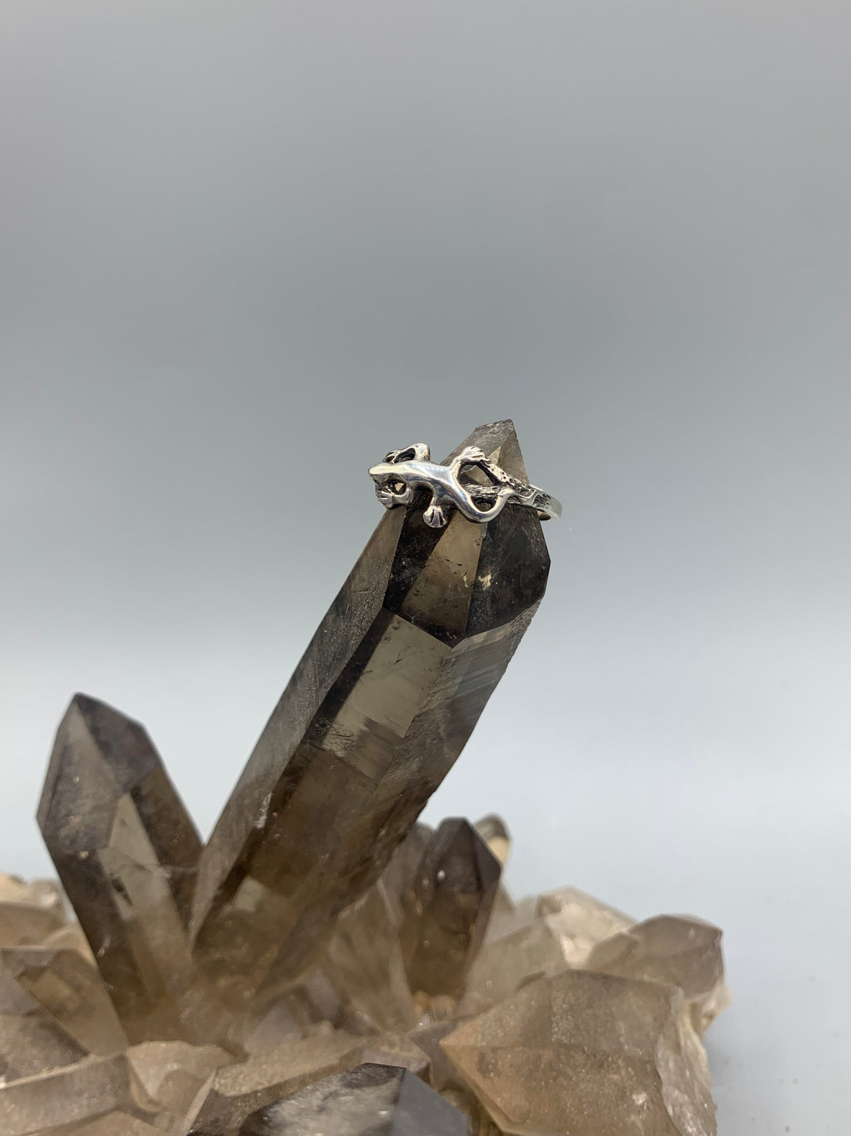 Sterling Gecko Ring 8