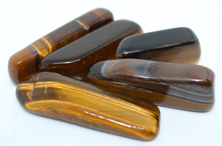 Tiger Eye Flat Medium