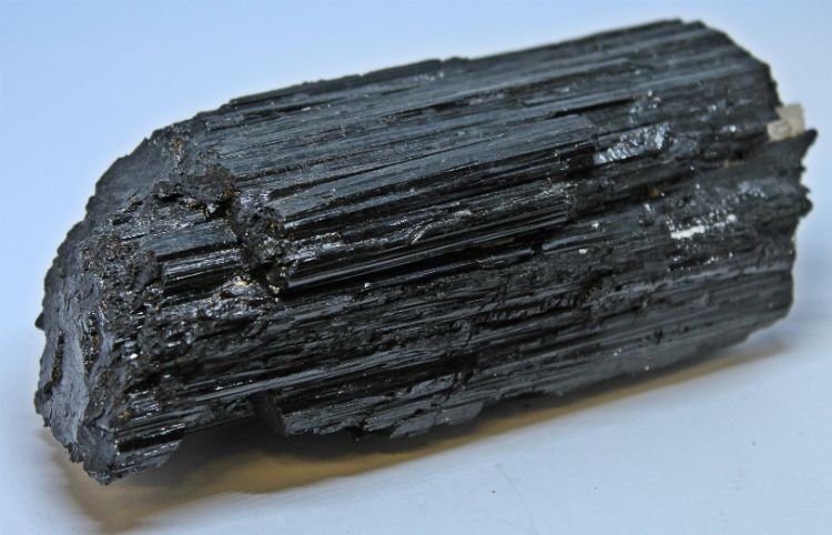 Black Tourmaline Specimens L