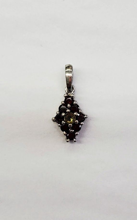 Faceted Garnet & Moldavite Pend