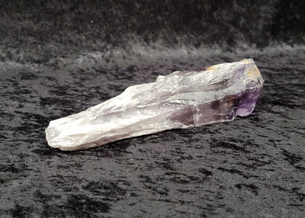 Spec Broccoli Amethyst Spear Md