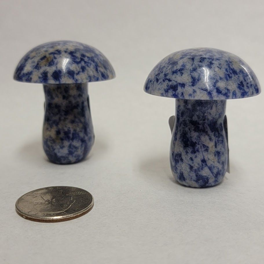 Sodalite Mushroom