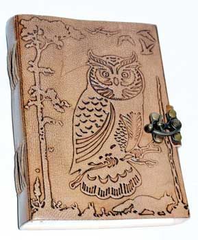 Owl In The Jungle Journal