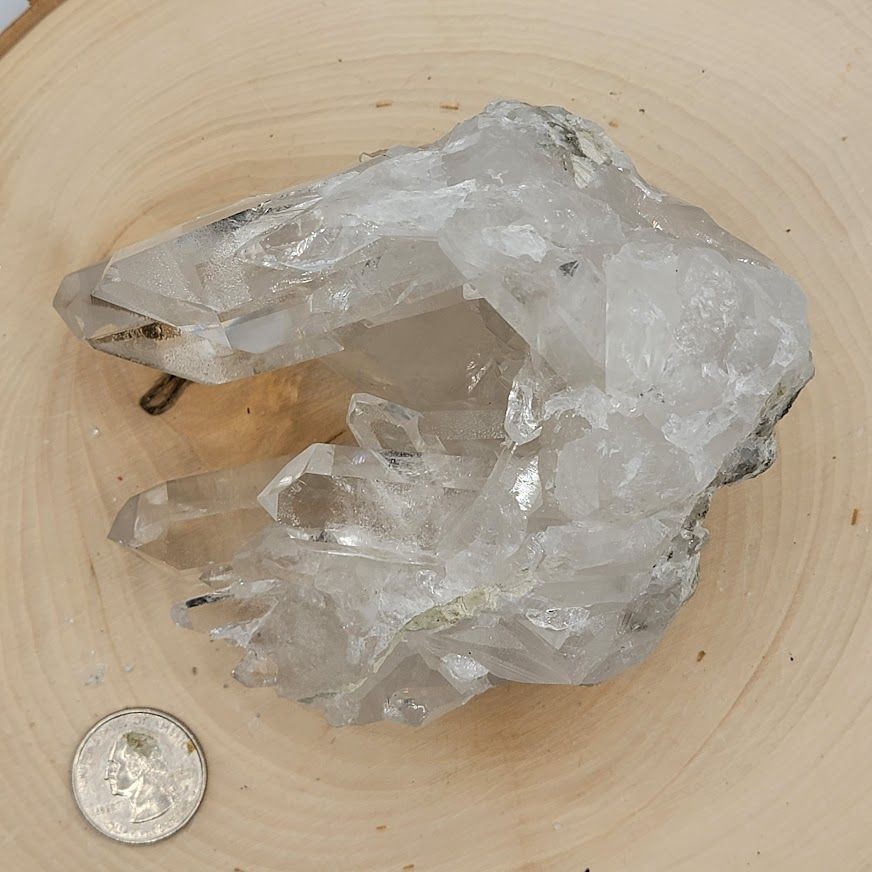 Lemurian Cluster Specimen 717g