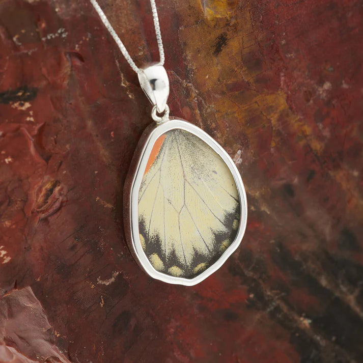 Jezebel Butterfly SS Pendant