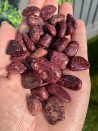 Red Wine Jasper Tumbled