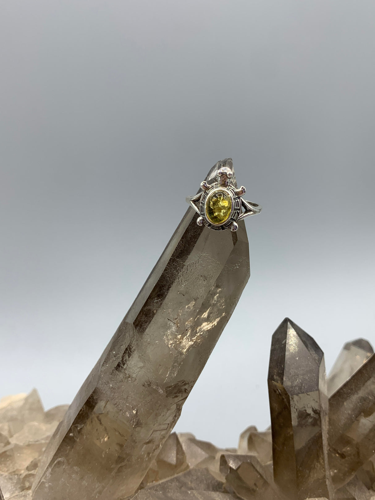 Amber Turtle Ring 6